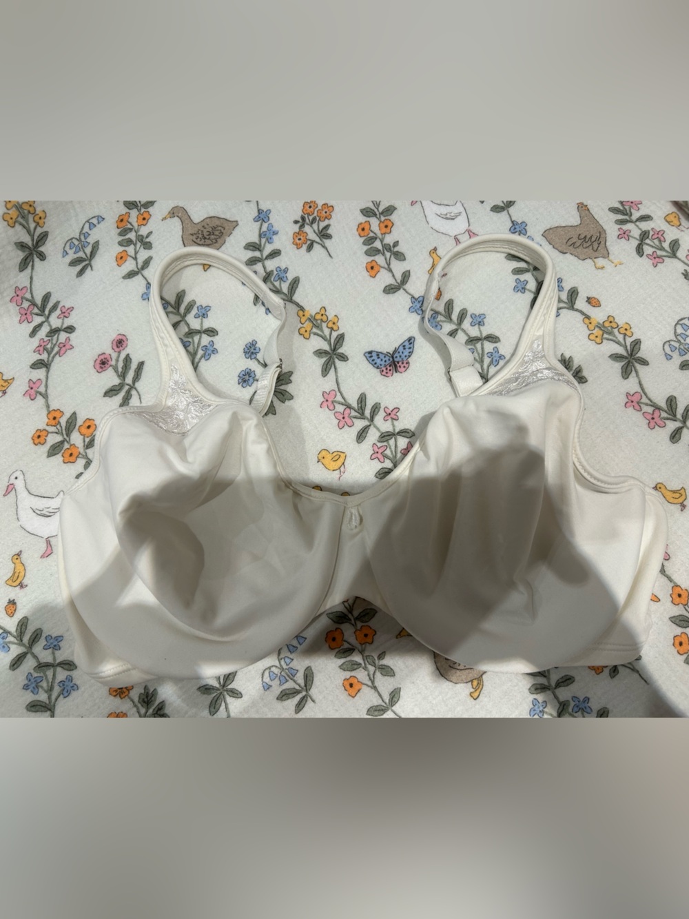 Bali Passion for Comfort Minimizer Underwire Bra White Lace 34D